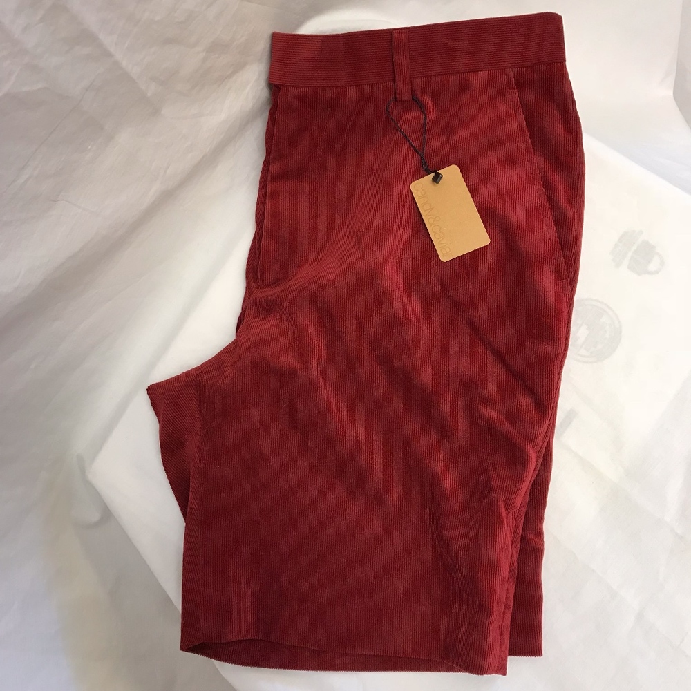 Candy and Caviar Corduroy Shorts - Size 34